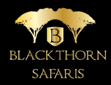 Safaris in Africa